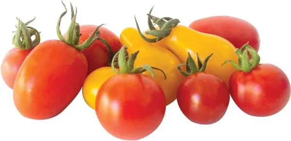Чери домати - България