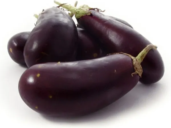 Био син патладжан Моравско село