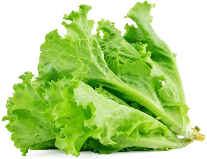 Био салата Моравско село