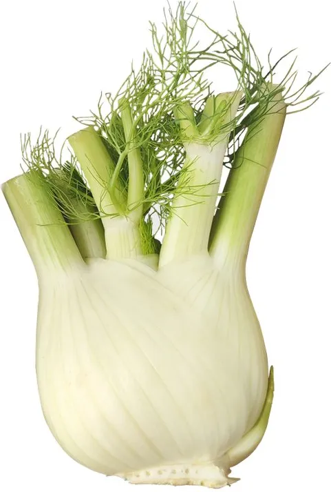 Био резене (фенел) - Испания