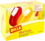 BILLA Сладолед  Ice cream мини fruits 12х50мл 600 МЛ