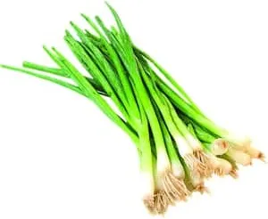 лук пресен бр