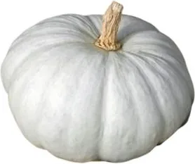 тиква бяла кг