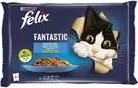 Felix Pouch Коте Грил СьомгаПисия4Х85Г