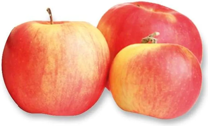 Шарени ябълки (1 кг) / 3266