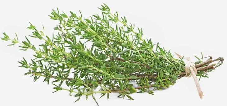 Мащерка 20Гр Листото-