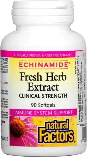 Natural Factors Echinamide Fresh Herb Extract за имунната и дихателната системи 250 мг х 90 софтгел капсули
