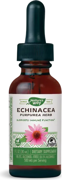 Nature's Way Echinacea Ехинацея срещу простуда и грип 30 мл