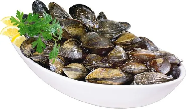 Черноморски миди