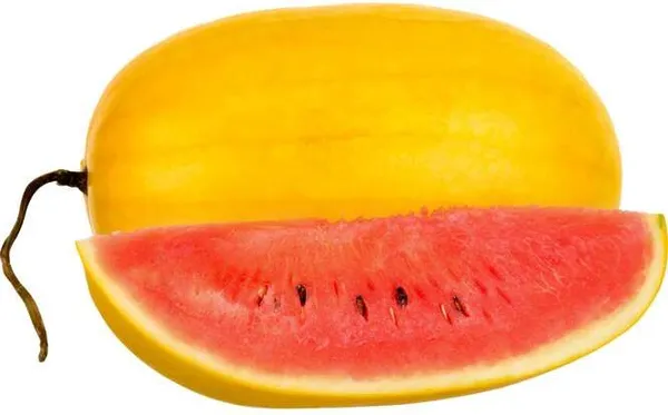 Азиатска диня