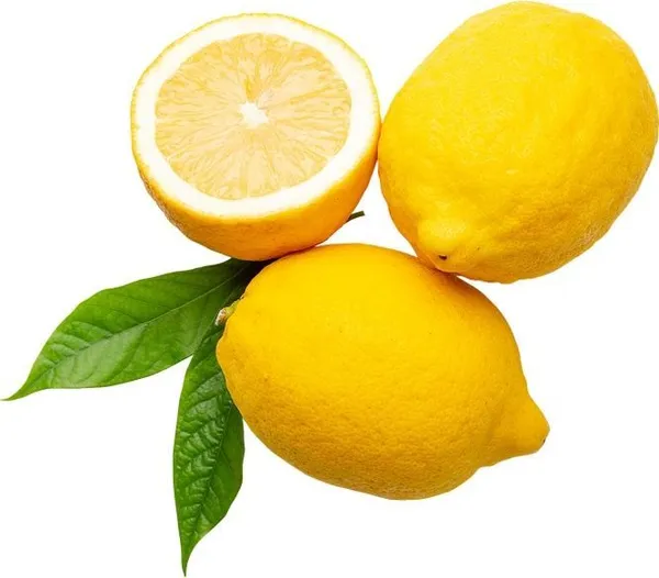 Лимони сорт Ламас