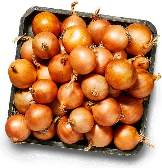 Български жълт лук