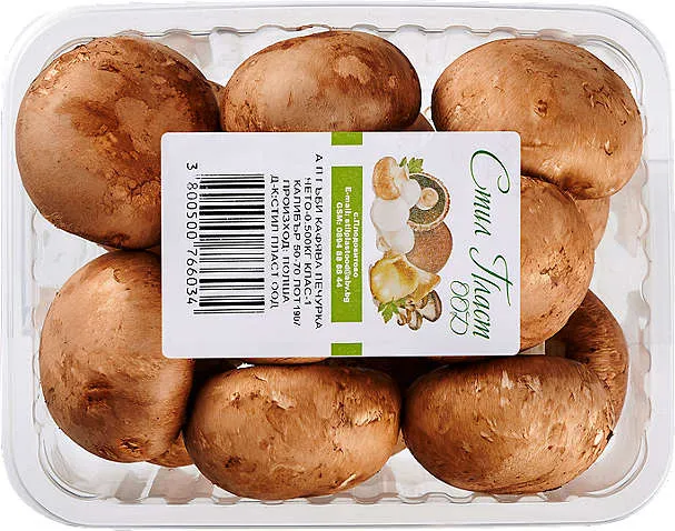 Гъби печурки