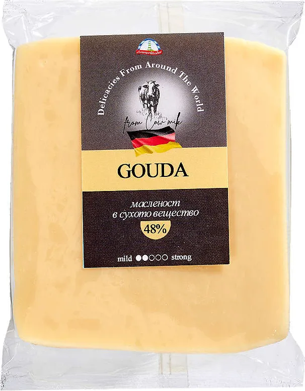 Гауда Германия