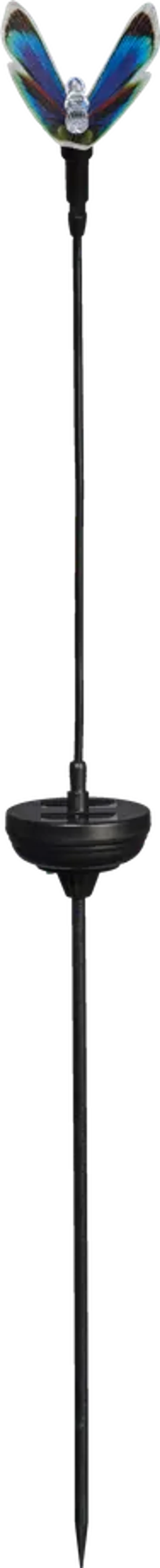 Livarno Home Декоративна соларна лампа