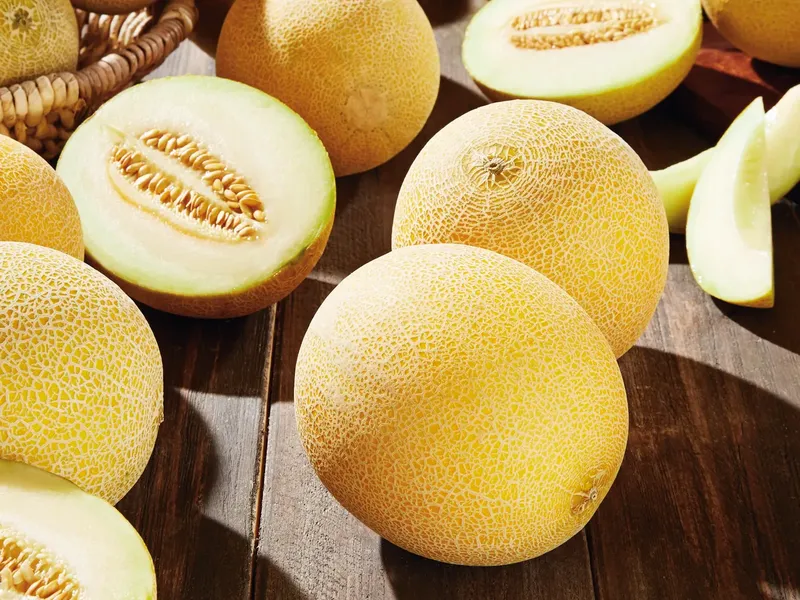 Български пъпеш Галия