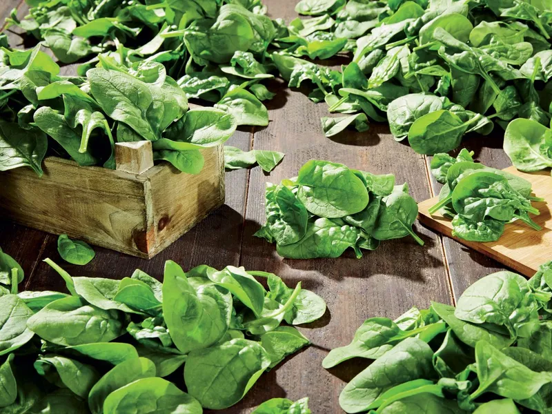 Български спанак