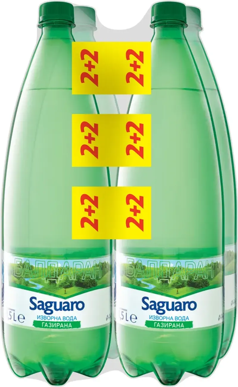 Газирана изворна вода