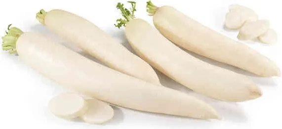 Българска ряпа Дайкон