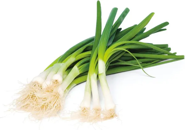 Български зелен лук