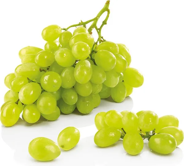 Био бяло грозде