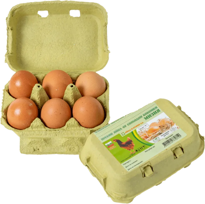 Яйца от свободни кокошки МИЗИЯ L 6 бр.