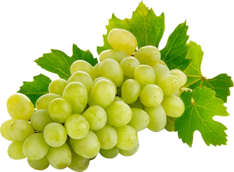 Бяло грозде без семки 500 г